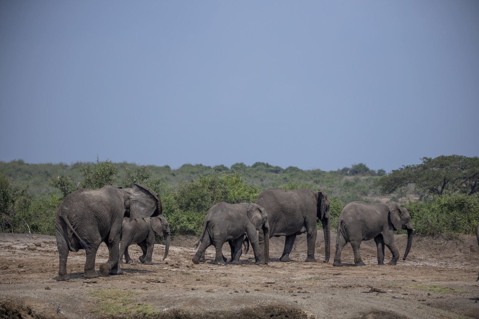 Queen Elizabeth National Park: Uganda's Most Diverse Wildlife Haven