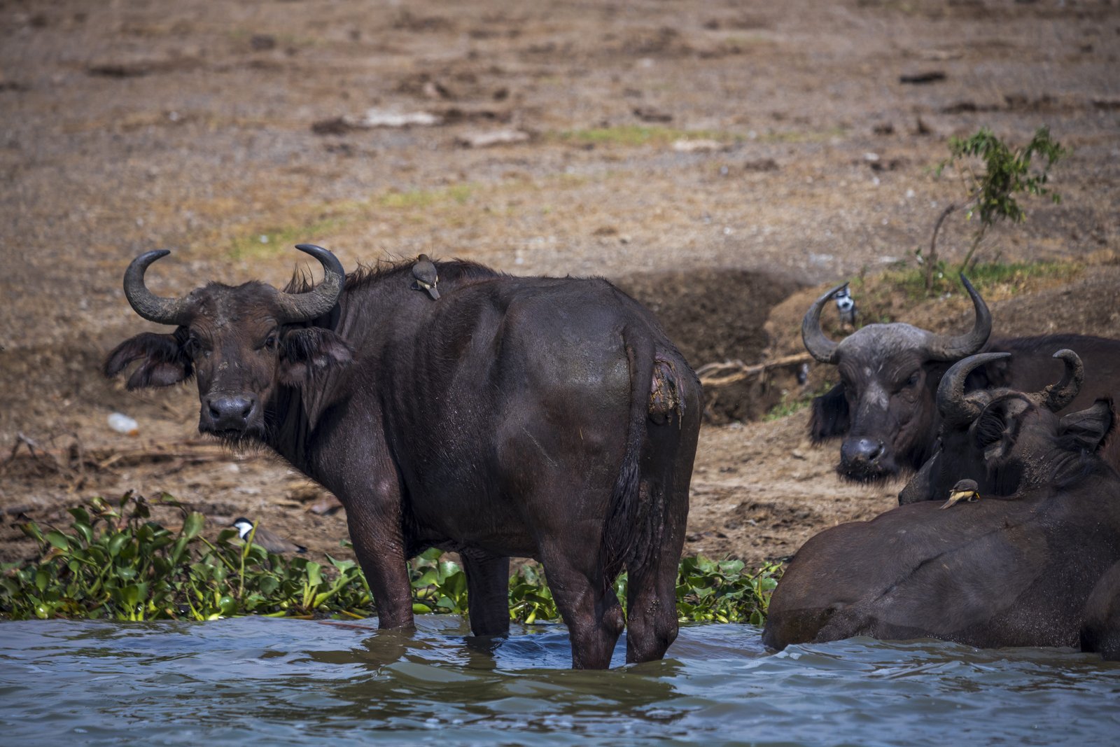 East Africa Journey — East Africa