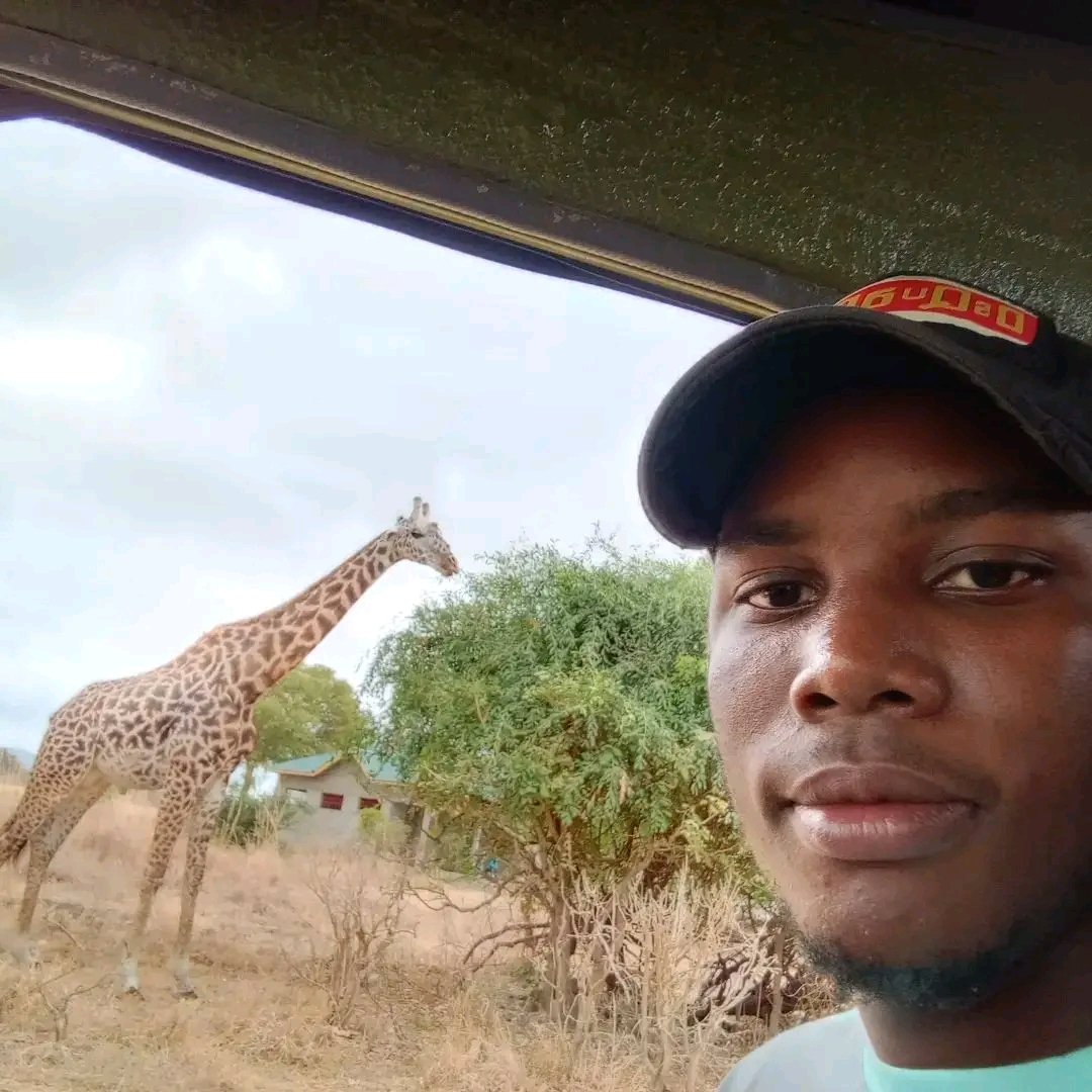 Masai Giraffe — East African Savanna