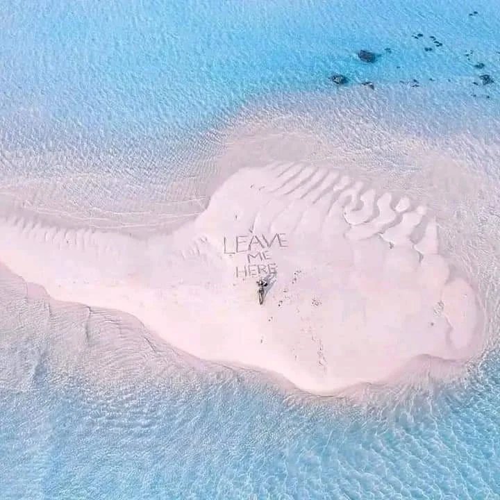 Sandbank Solitude — Zanzibar