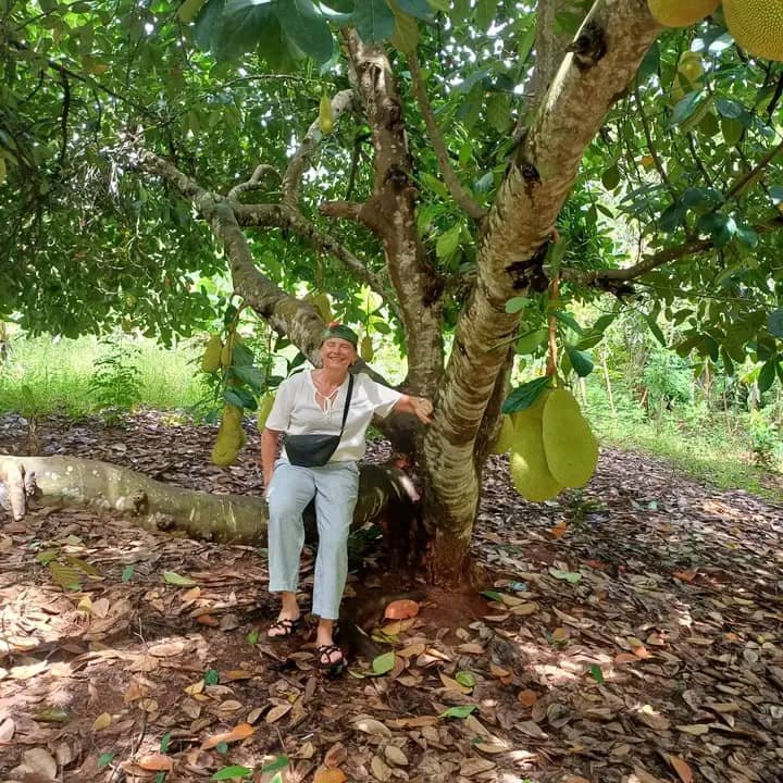 Jackfruit Tree — Zanzibar Spice Farm