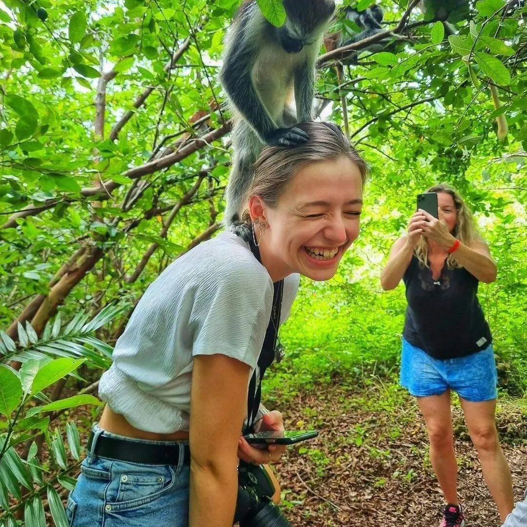 Sykes' Monkey — Jozani Forest