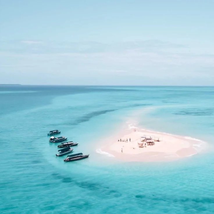 Sandbank Excursion — Zanzibar