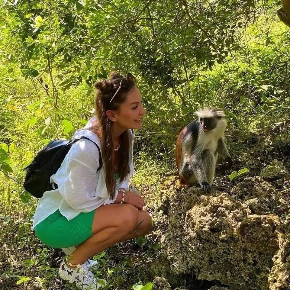 Zanzibar Red Colobus — Jozani Forest