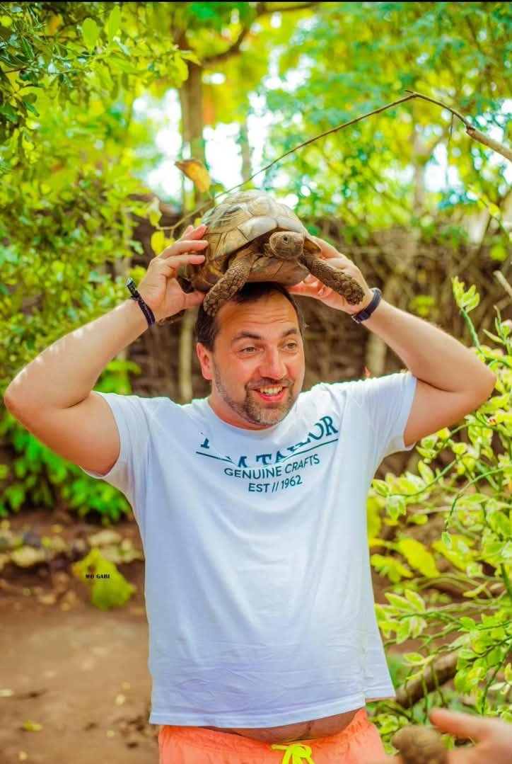 Giant Tortoise — Prison Island